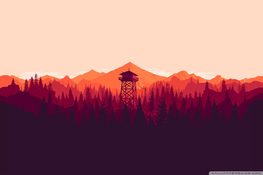 Sonnenaufgang Wald